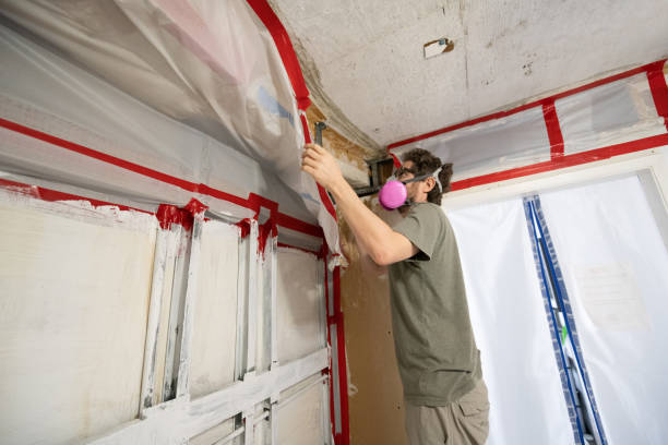 Best Attic Mold Removal  in Visalia, CA