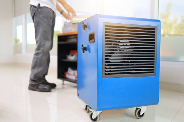 Best Residential Mold Inspection & Testing  in Visalia, CA